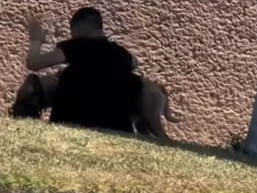 MALTRATO ANIMAL GENERA INDIGNACIĆN EN VISTA DORADA