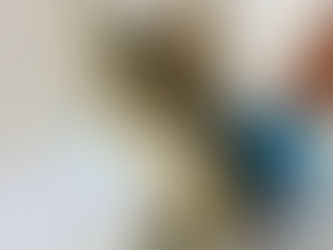 REGISTRO MUNICIPAL PARA PROTECCIĆN ANIMAL