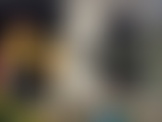 MUJER DE LA TERCERA EDAD PI3RD3 LA VID4 EN INCENDIO EN SANTA FE, TIJUANA