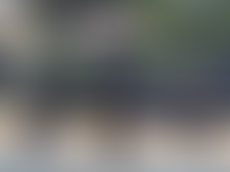 B4L3AN A CONDUCTOR DE TROQUE EN PLENA CARRETERA Y CHOCA TRAS INTENTAR ESCAPAR, MEXICALI