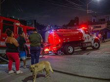 RESCATAN CONEJOS TRAS INCENDIO EN TIJUANA