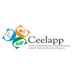 CEELAPP.jpg
