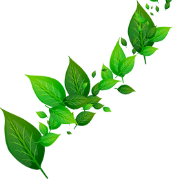 pngwing.com (15).png