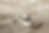 Captura de pantalla 2024-07-26 a la(s) 12.50.11 a.m..png