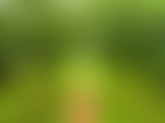 PURIFICATION OF THE SOUL PART 1