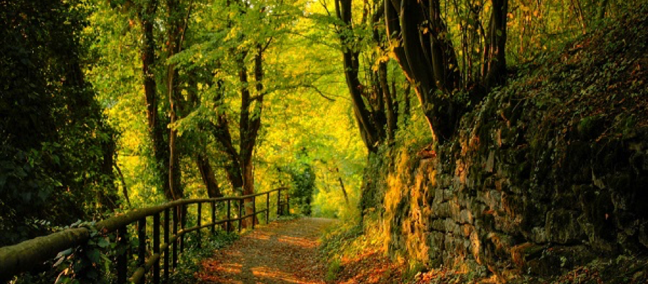 REFLECTION WITH SKEPTIC ON SURAH FUSSILAT (PART 1)
