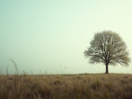 Rising from the Ashes Like a Wounded Soldier :Embracing Faith and the Fight Ahead