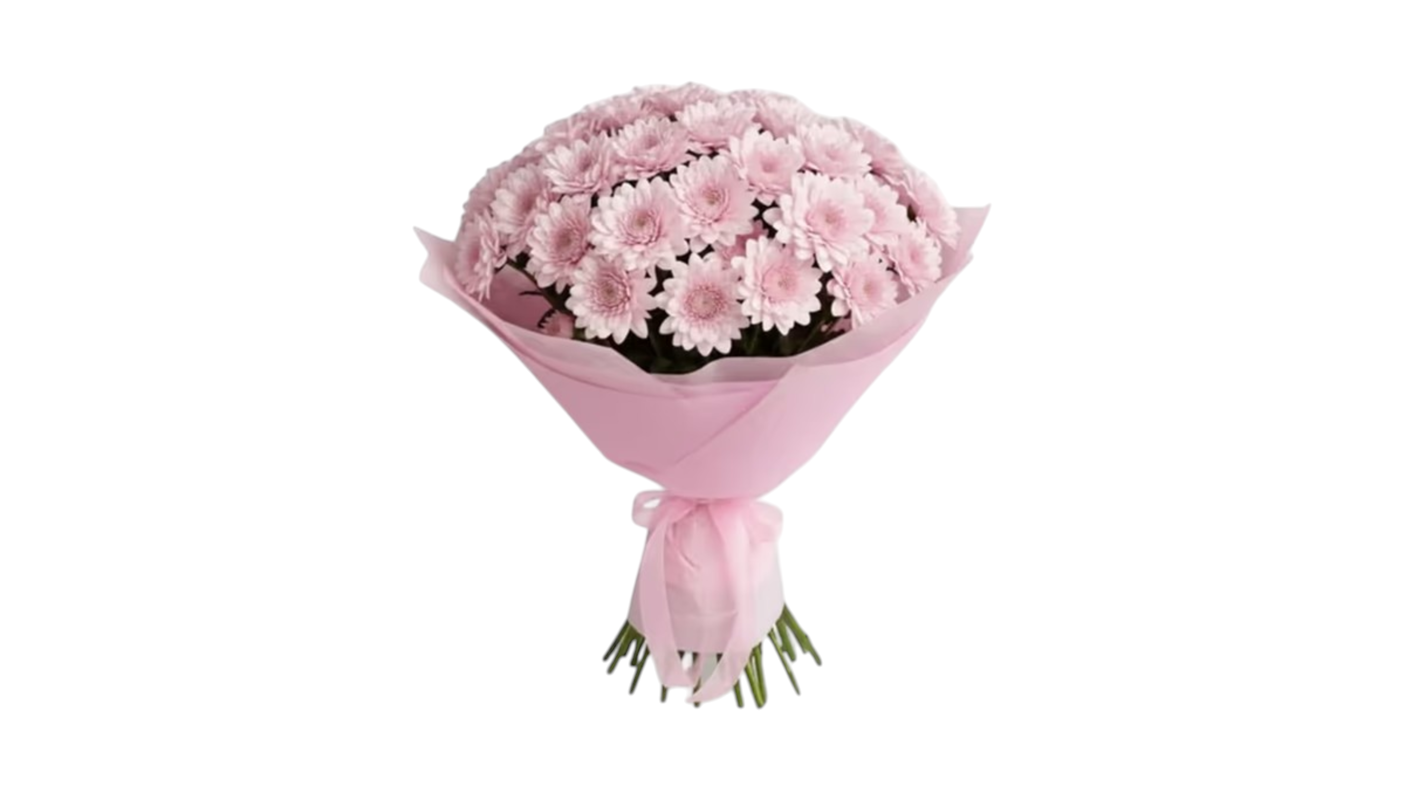 Chrysanthemum Bouquet