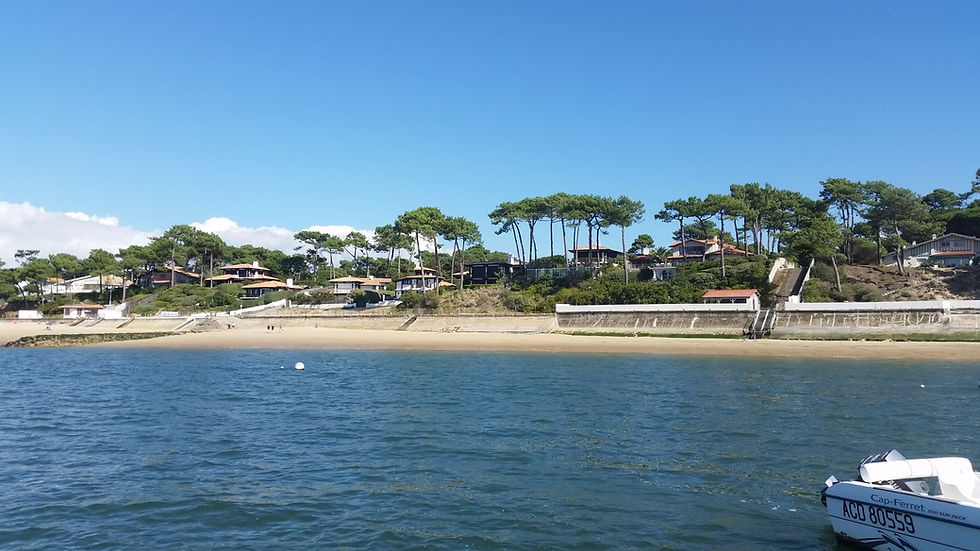 Pyla sur Mer Bassin Immobilier