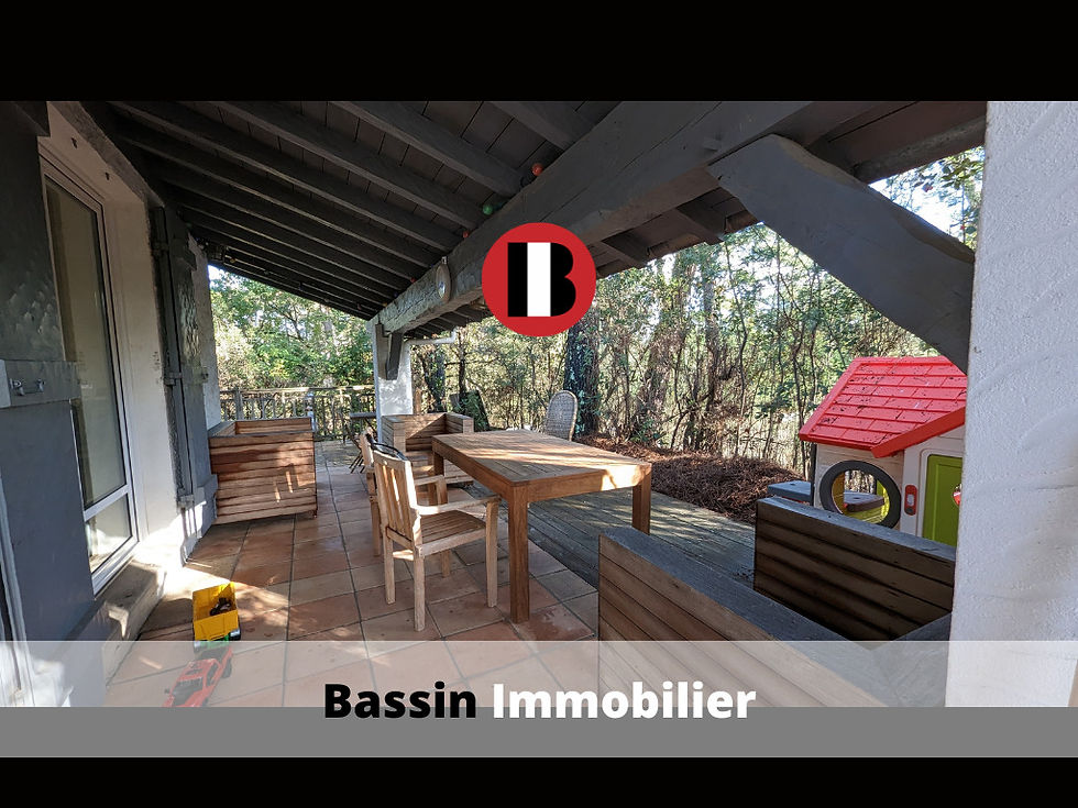 Miniature : Bassin Immobilier Maison Villa Gaume à Pyla sur mer