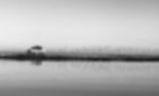 Agence immobilière pyla Bassin Immobilier