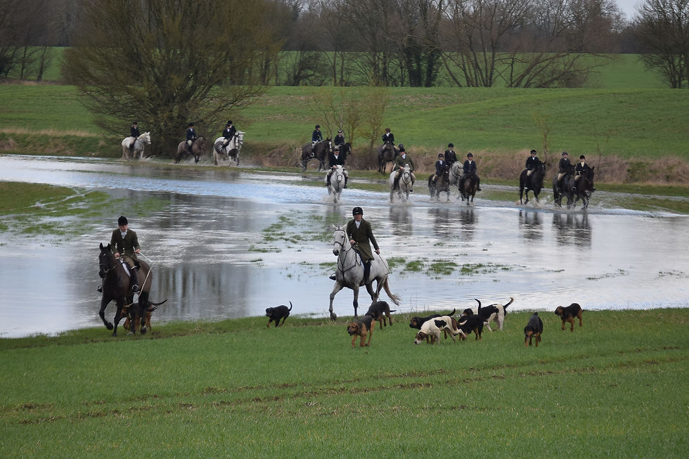 The Field in hot pursuit