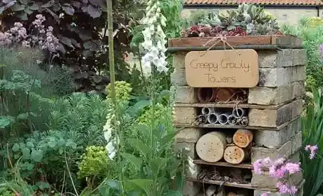 Creating a Wildlife Garden Haven