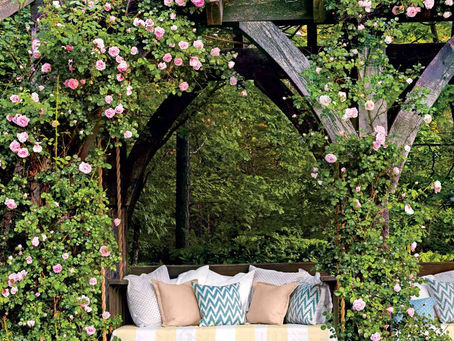 Blooming Beauties: The Best Climbing and Rambling Roses