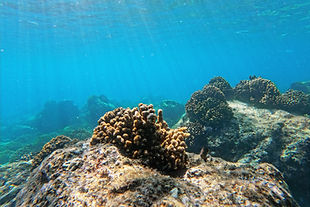 GOPR5456_edited.jpg
