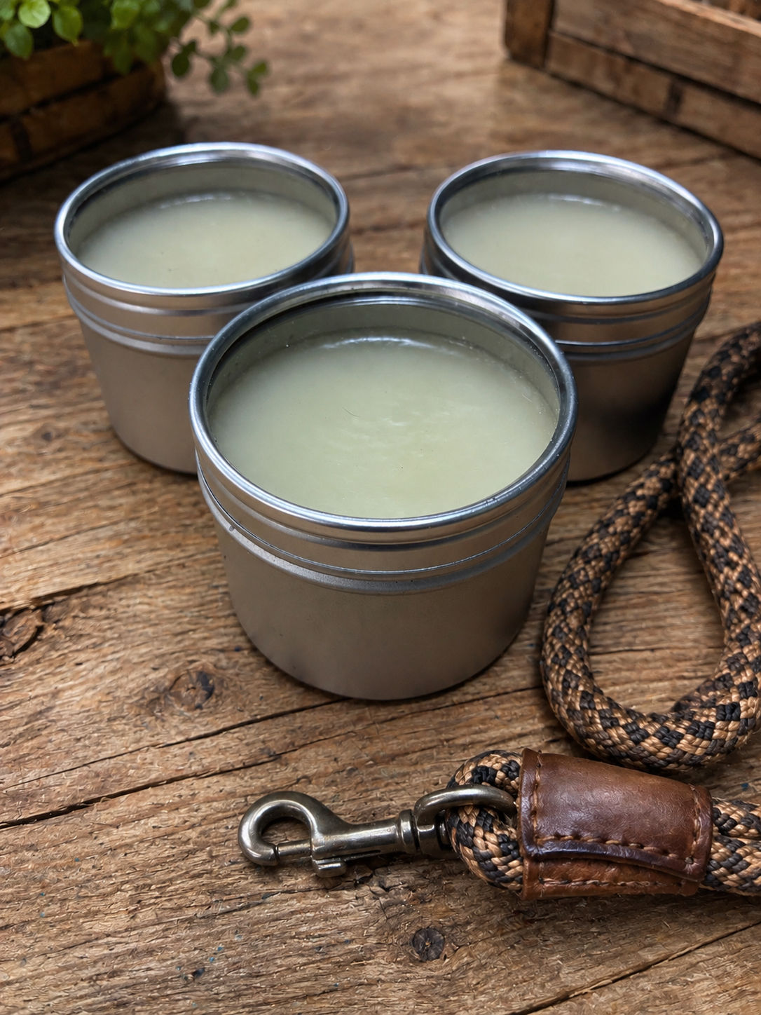 Natural Dog Paw Balm-2 oz.