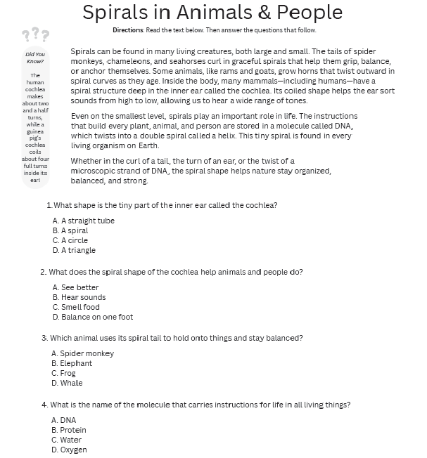 Thumbnail: Investigating Spirals Workbook- Grayscale