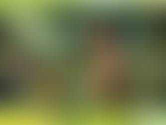 Intelligent Design for Kids