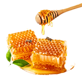 Honeycomb Hexagon