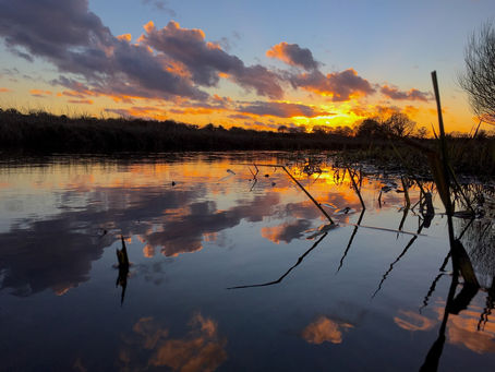 Exploring the Paradise: A Guide to the Best Fishing Spots on the Norfolk Broads