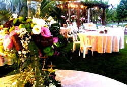 CASAMENTO SORRISO - JANEIRO 2017