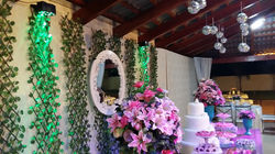 Casamento Cerradus 07/05/16