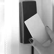 Untitled design (9)_edited.jpg