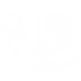 whiteLogoLarge.webp