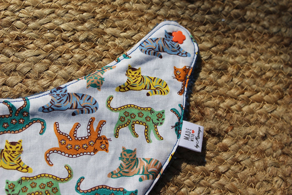 Miniature : Coffret bébé Chatons