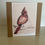 Thumbnail: Red Cardinal - Greetings card