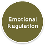 emotional-regulation.png