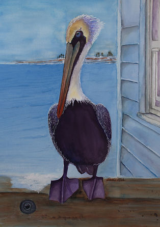 PELICAN3_DSC1753_edited.jpg