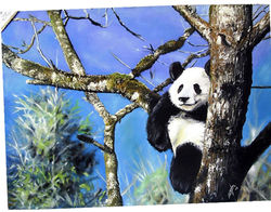 PANDA SOBRE AZUL