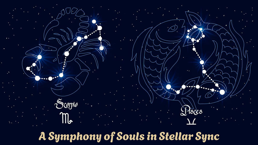 what-makes-scorpio-and-pisces-compatibility-so-unique