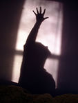 silhouette-series-2-1200029-1279x1705.jp