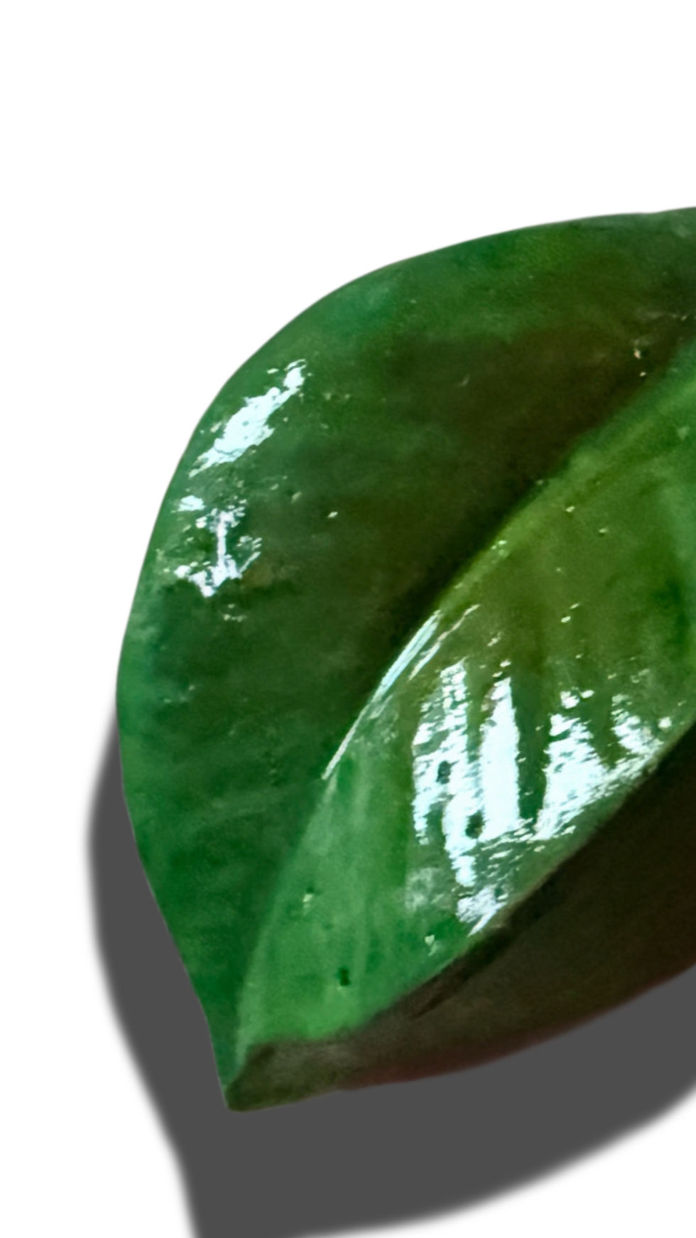 2C979EC1-DAE9-49B9-B61C-3E604C66D245