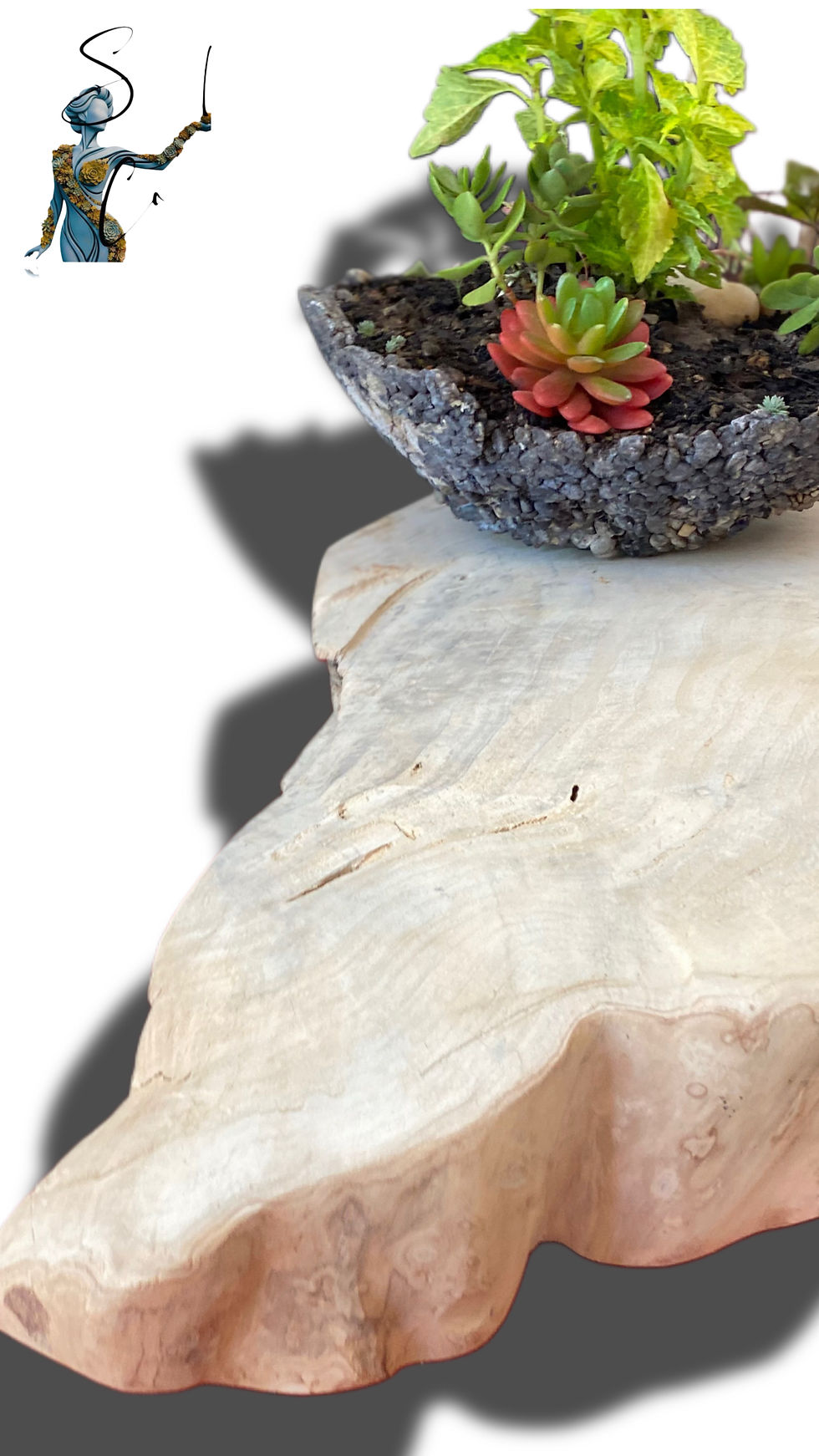 6D328A38-70EB-40B9-9631-BF31F6898D3F