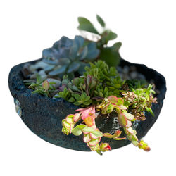 32F926A7-A349-408B-AB9C-FD3A22878C82