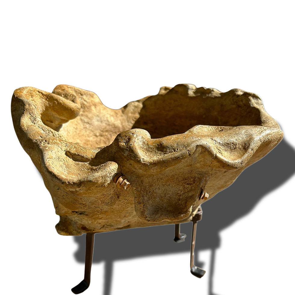 Thumbnail: Coastal Curvature - Concrete Decor