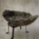 Thumbnail: Mystical Conch - Concrete Planter