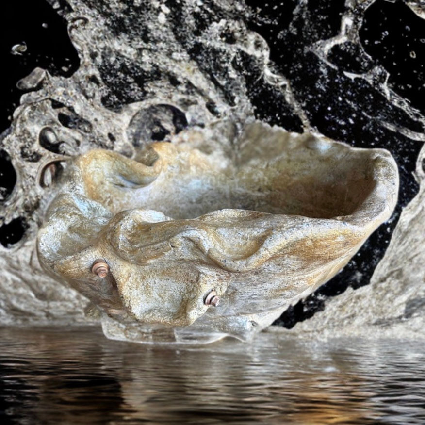 Thumbnail: Coastal Curvature - Concrete Decor