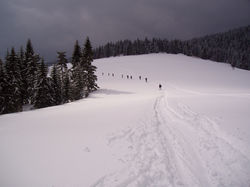 081. Oravská Lesná