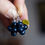Miniature : SUR COMMANDE • boucles d'oreilles myrtilles sauvages • verre et argent
