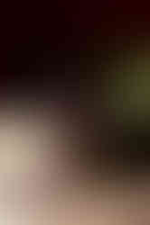 TSS Fall 2024_Still Life_122