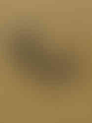 TSS Summer 2024_JGC_1237