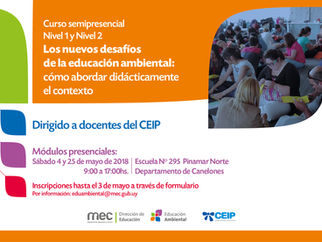 Curso semipresencial Nivel 1 y 2.
