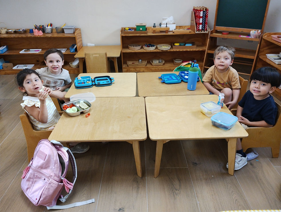 Niños de maternal Montessori en Monterrey en su primera semana en Wonder Studio, Acton Academy MTY
