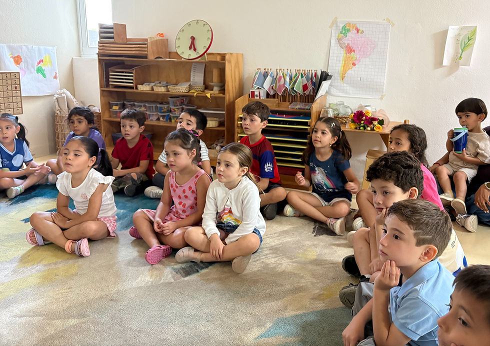 Wonder Studio – El Taller de Juguetes de Newton - Semana 4