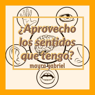 ¿Aprovecho los sentidos que tengo?