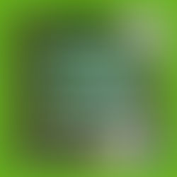 A vivir cada momento con autenticidad, amor, alegría y sirviendo